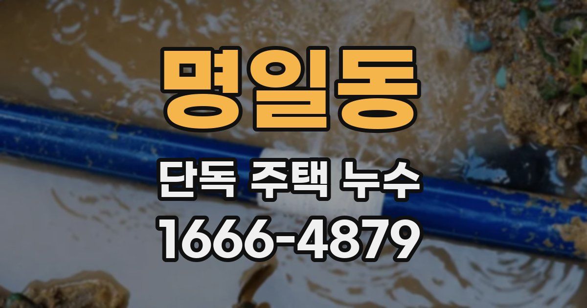 명일동 단독 주택 누수