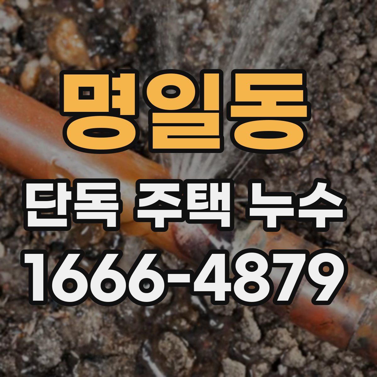 명일동 단독 주택 누수
