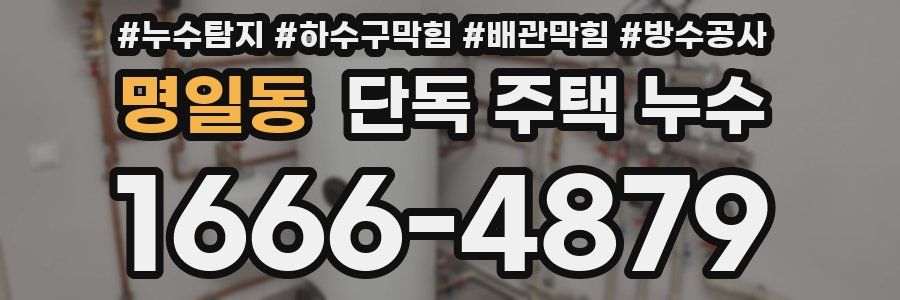 명일동 단독 주택 누수