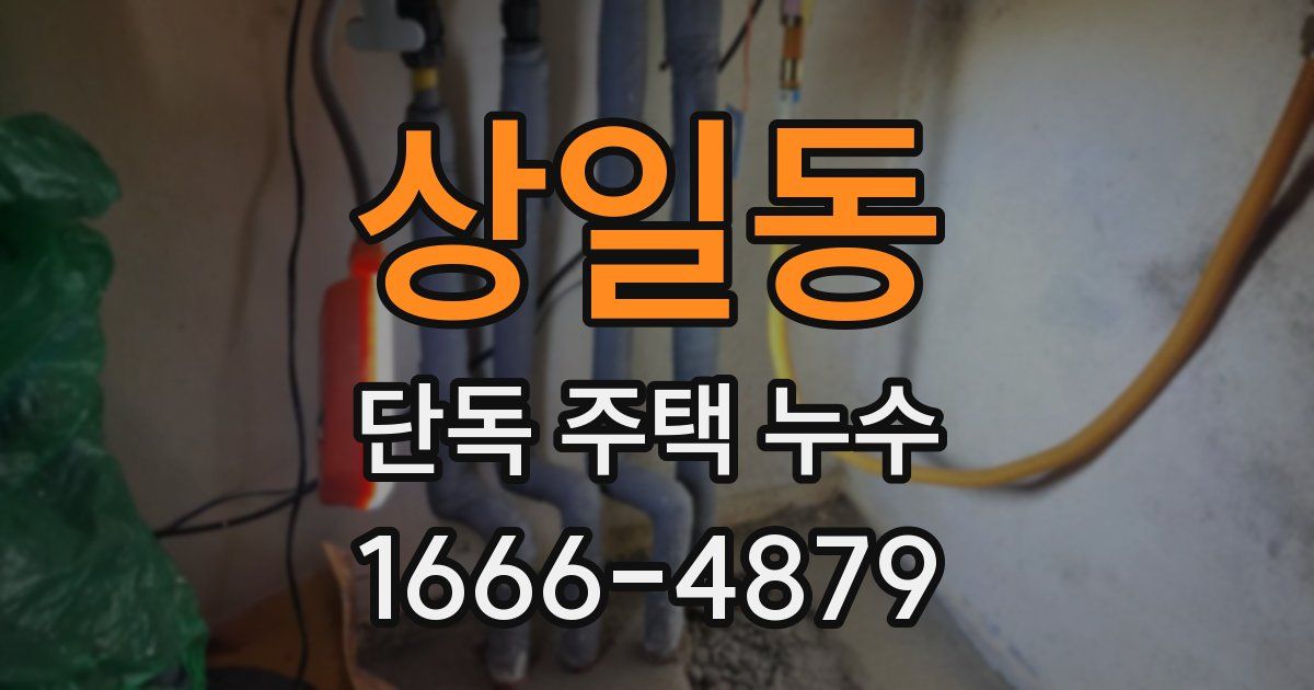상일동 단독 주택 누수