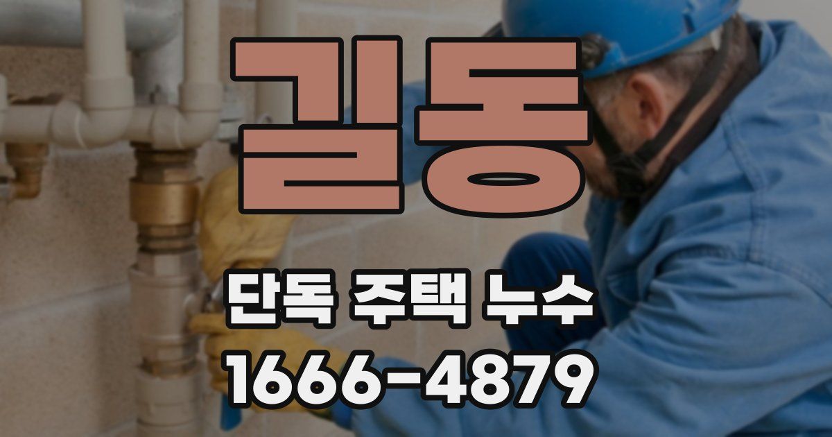 길동 단독 주택 누수