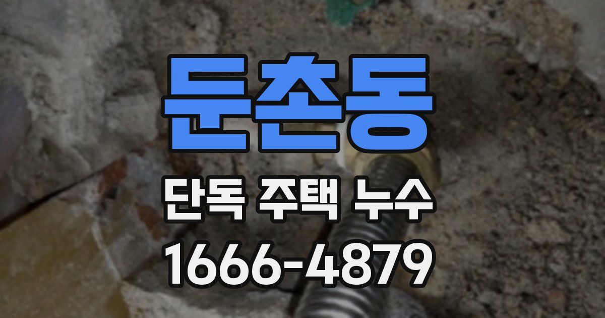 둔촌동 단독 주택 누수