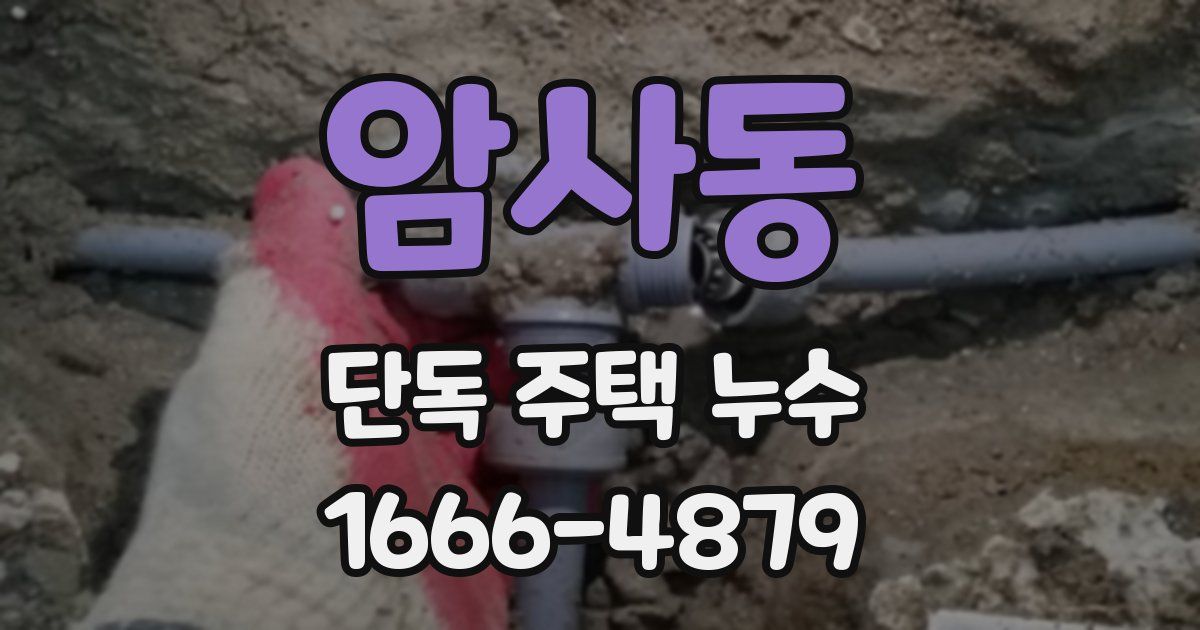 암사동 단독 주택 누수