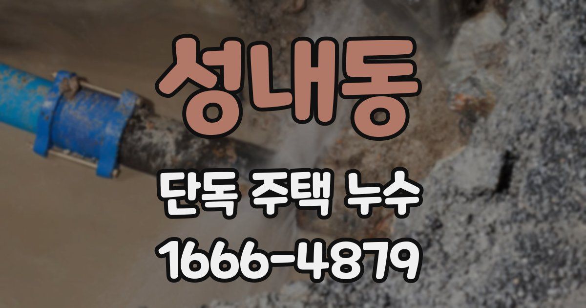 성내동 단독 주택 누수