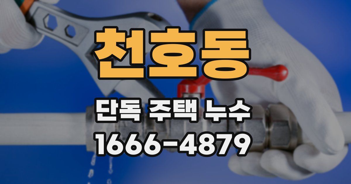 천호동 단독 주택 누수