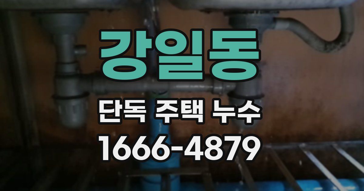 강일동 단독 주택 누수