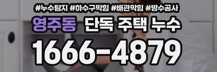 영주동 단독 주택 누수