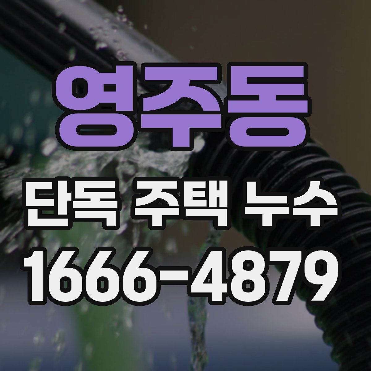 영주동 단독 주택 누수