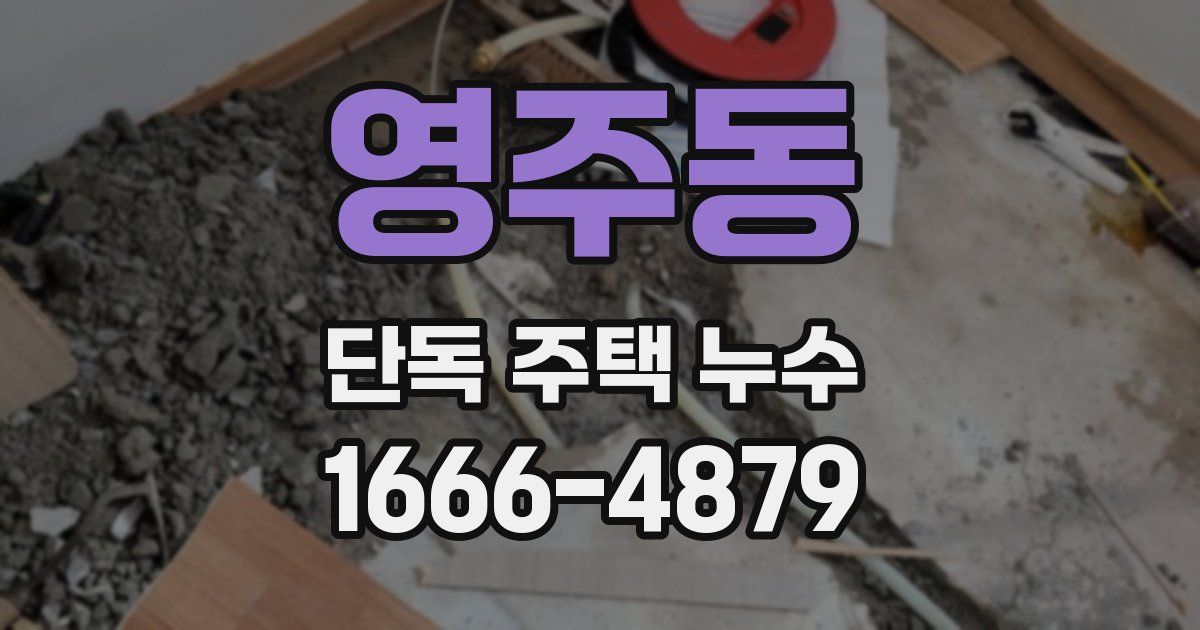 영주동 단독 주택 누수
