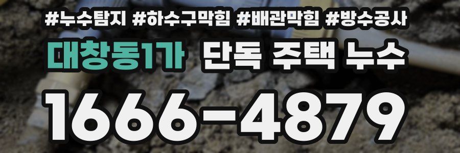 대창동1가 단독 주택 누수