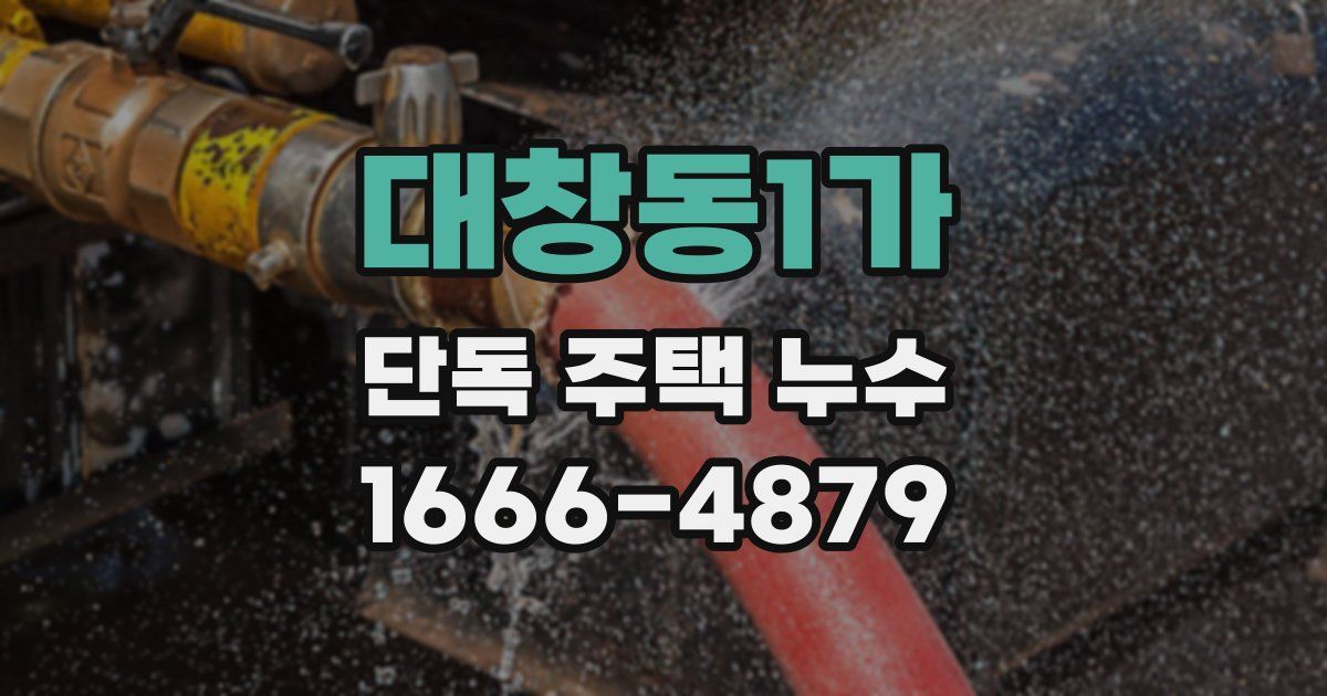 대창동1가 단독 주택 누수