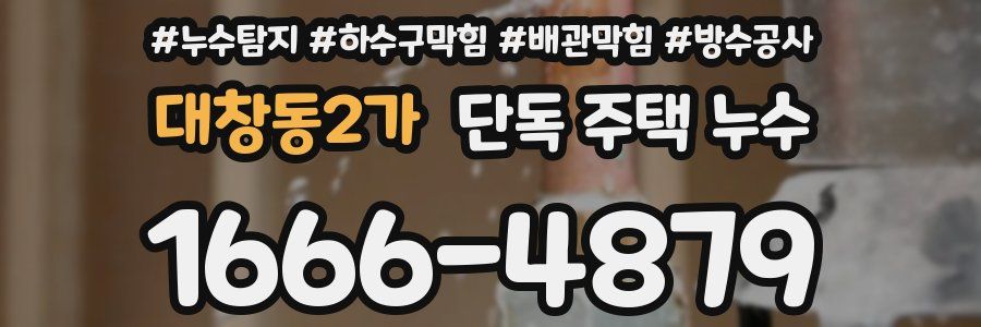 대창동2가 단독 주택 누수