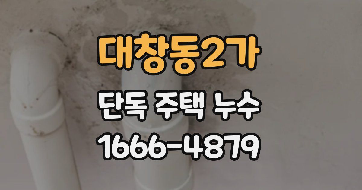 대창동2가 단독 주택 누수