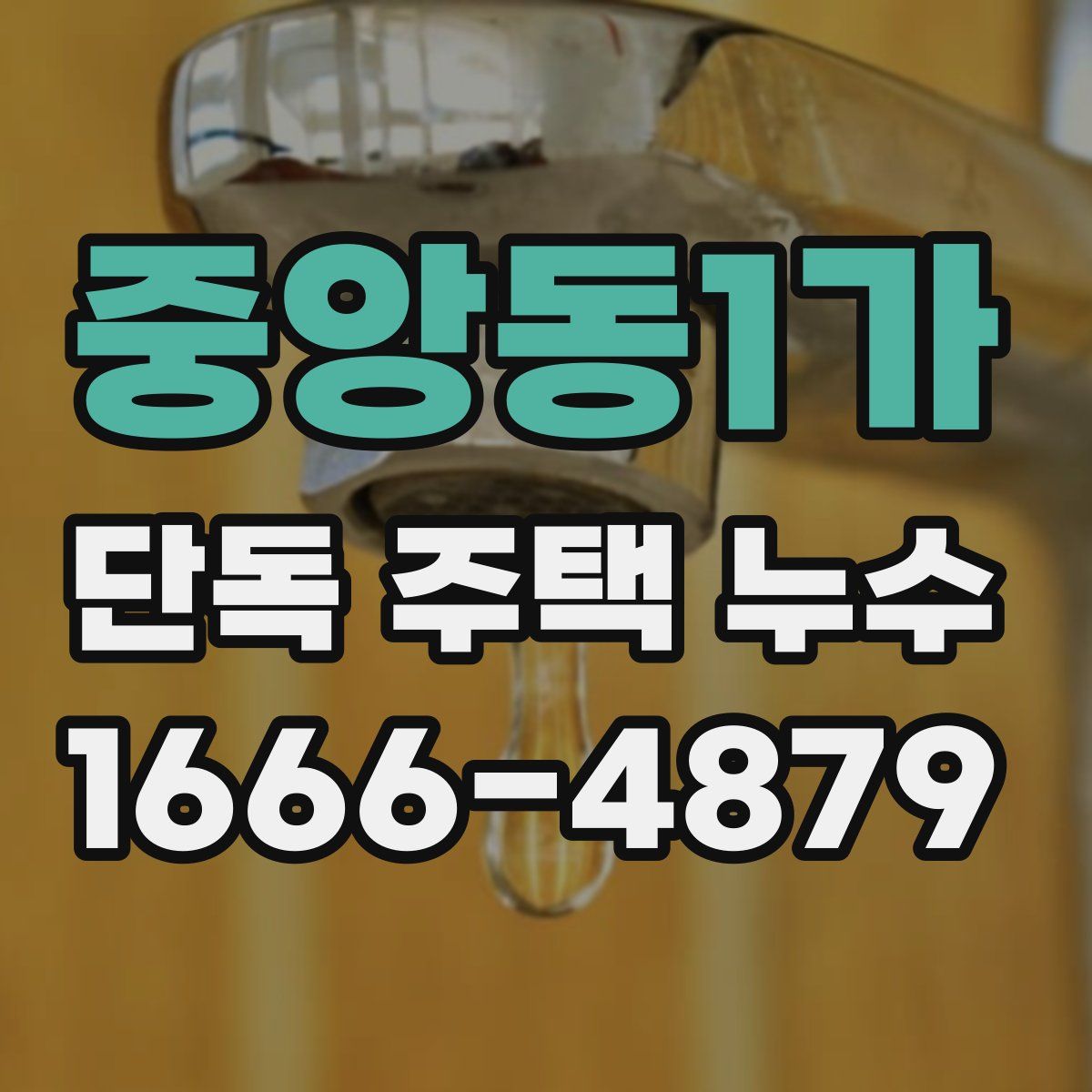 중앙동1가 단독 주택 누수