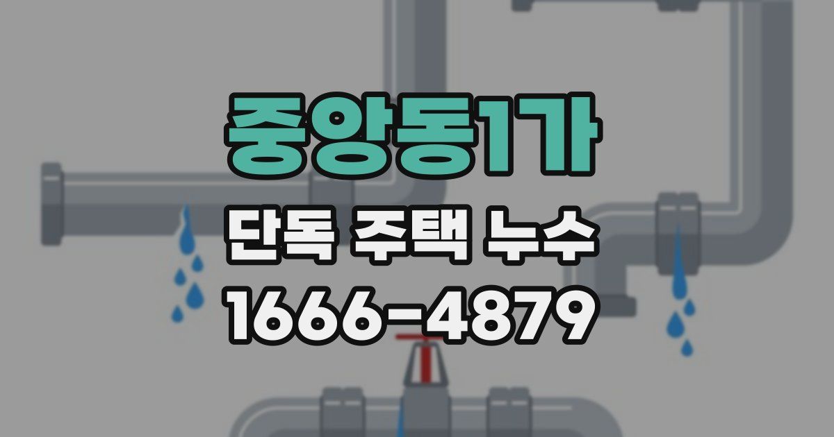 중앙동1가 단독 주택 누수