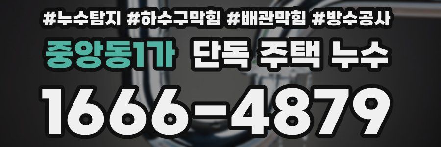 중앙동1가 단독 주택 누수