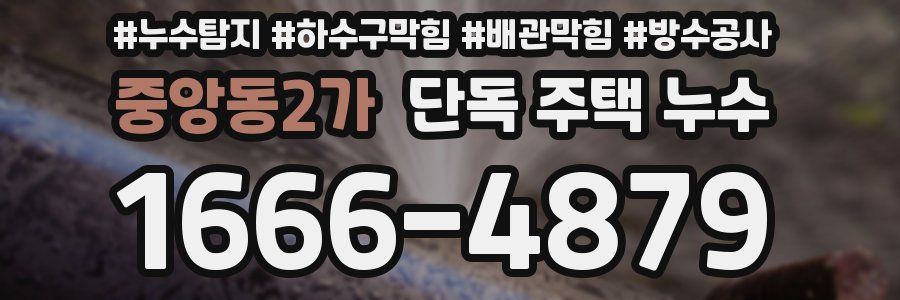 중앙동2가 단독 주택 누수
