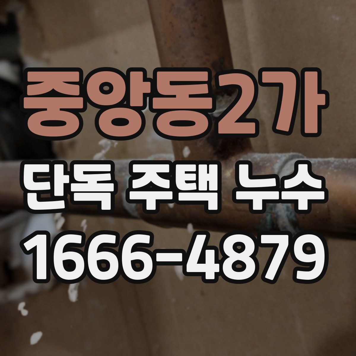중앙동2가 단독 주택 누수