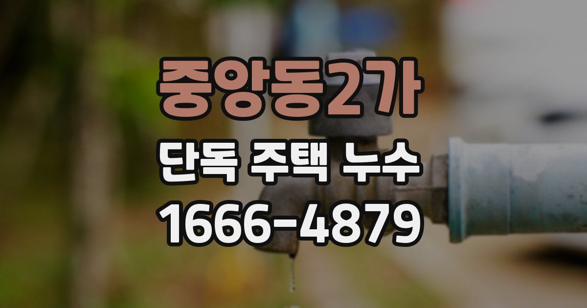 중앙동2가 단독 주택 누수