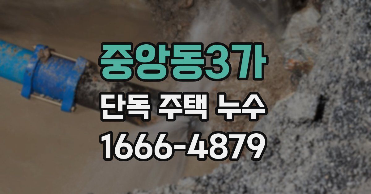 중앙동3가 단독 주택 누수