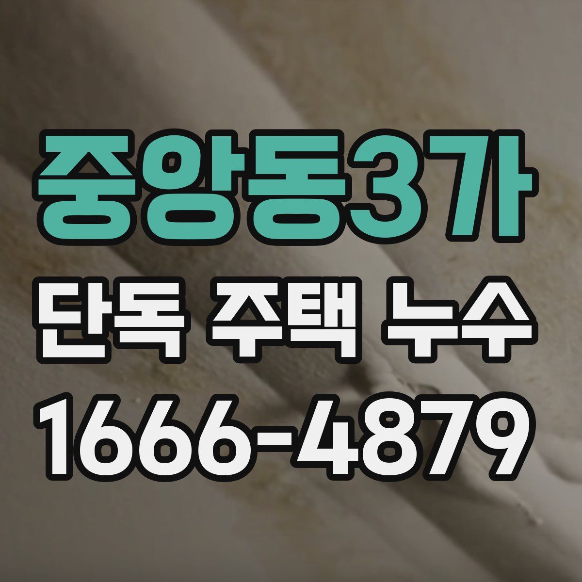 중앙동3가 단독 주택 누수