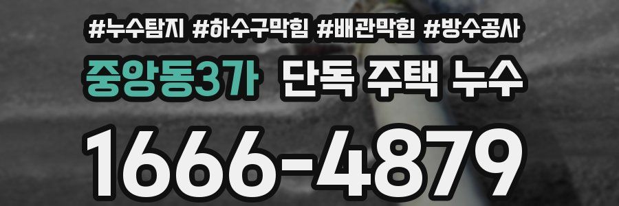중앙동3가 단독 주택 누수