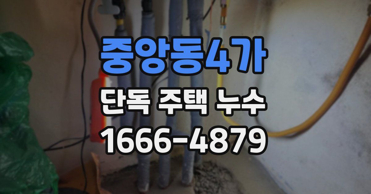 중앙동4가 단독 주택 누수