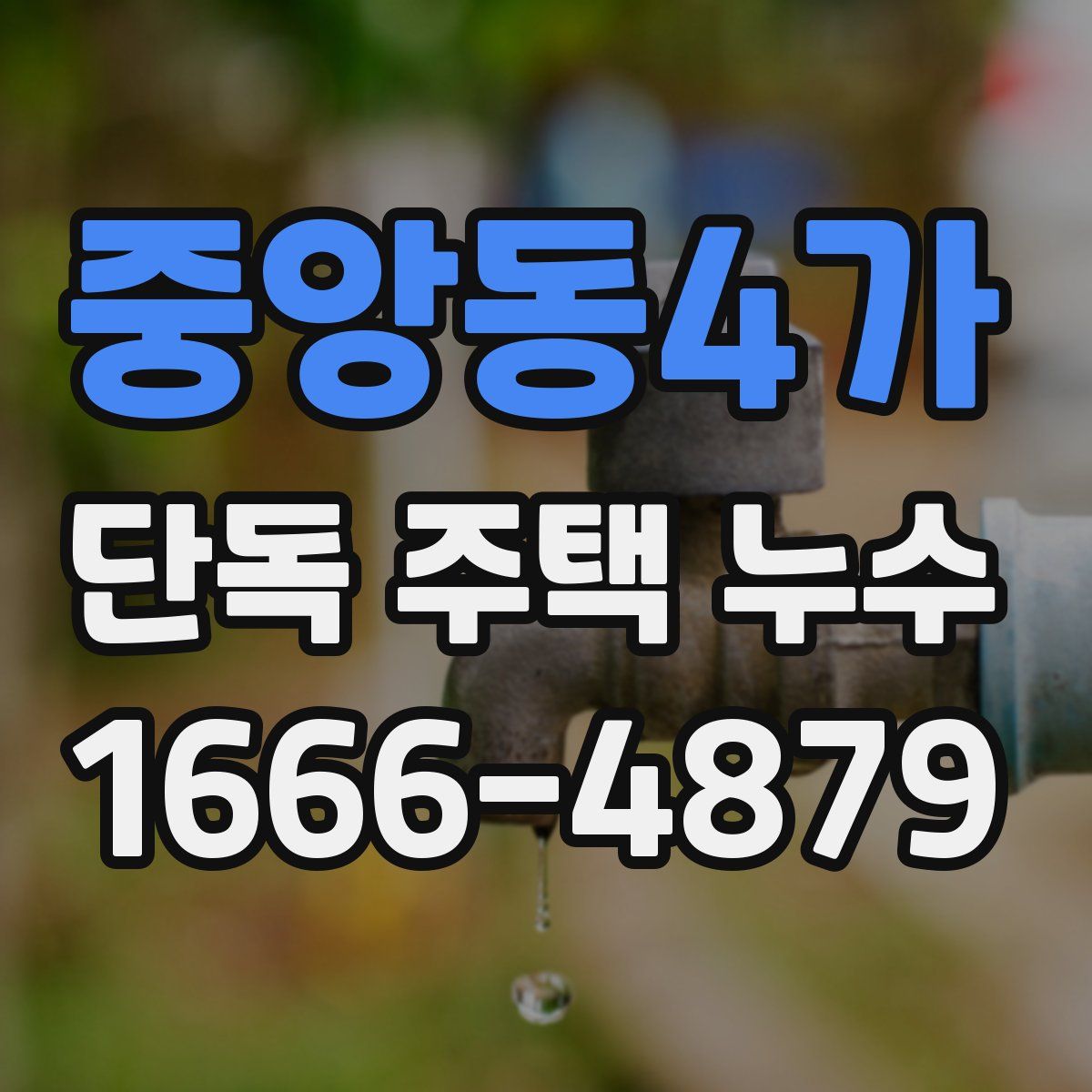 중앙동4가 단독 주택 누수