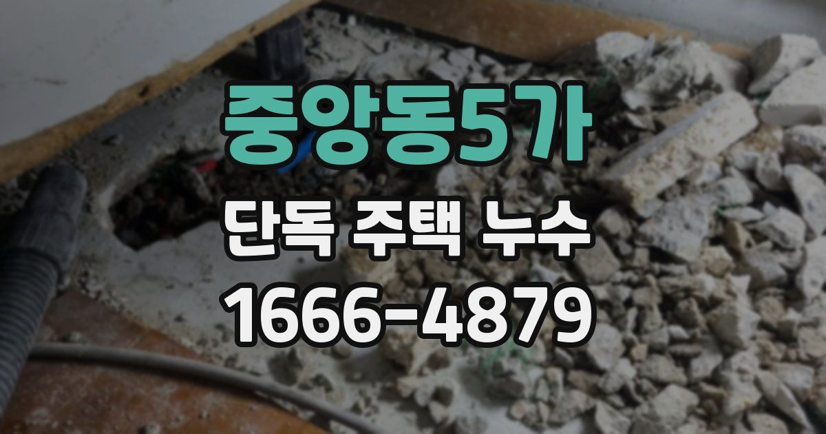 중앙동5가 단독 주택 누수