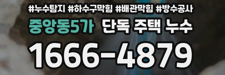 중앙동5가 단독 주택 누수
