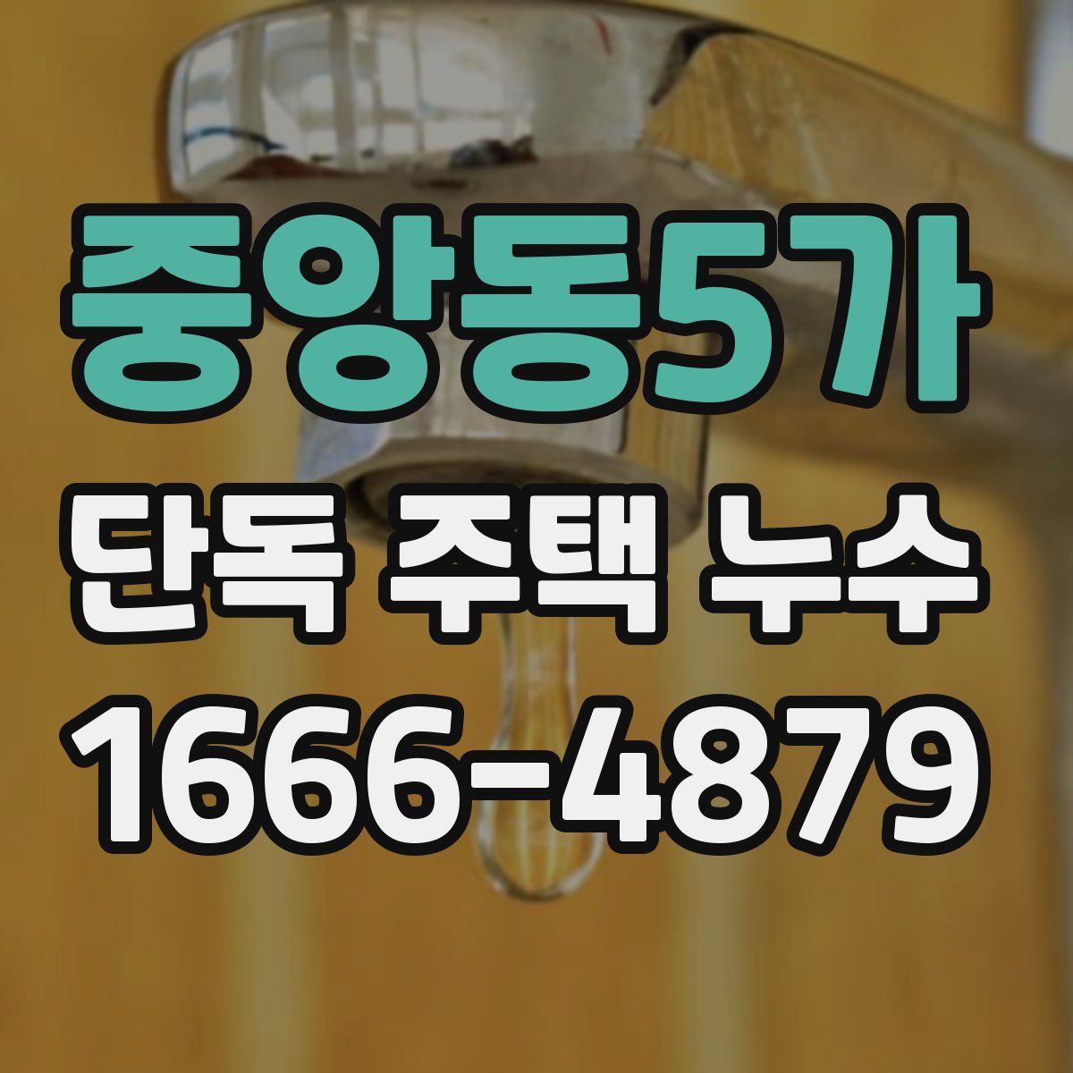 중앙동5가 단독 주택 누수