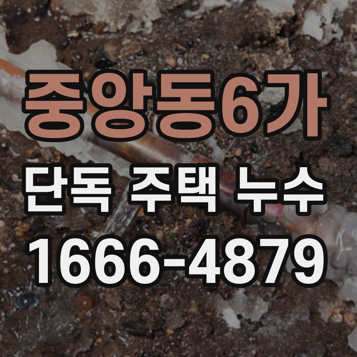 중앙동6가 단독 주택 누수 점검에서 배관 확인이 중요한 이유