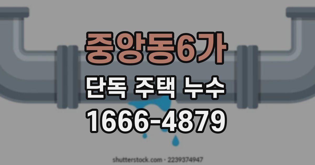 중앙동6가 단독 주택 누수