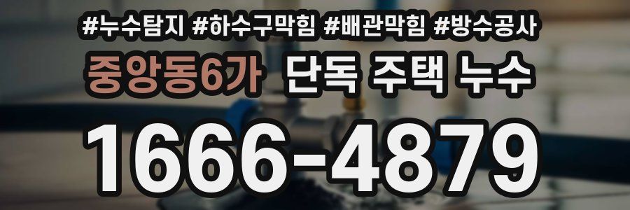 중앙동6가 단독 주택 누수