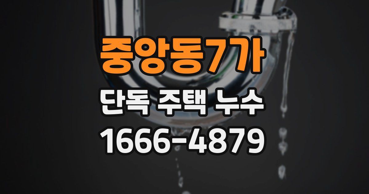 중앙동7가 단독 주택 누수