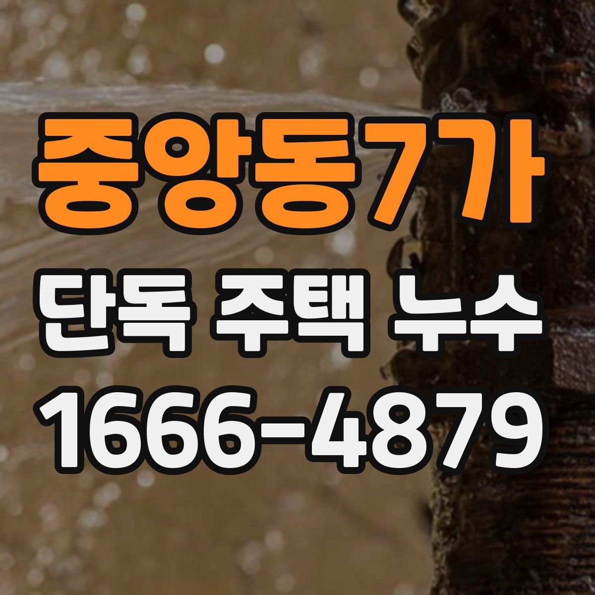 중앙동7가 단독 주택 누수