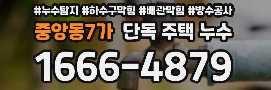 중앙동7가 단독 주택 누수