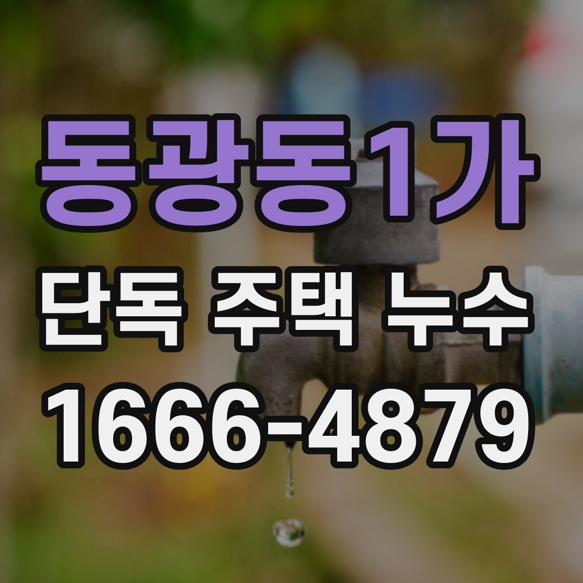 동광동1가 단독 주택 누수
