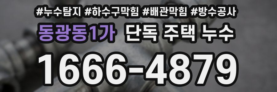 동광동1가 단독 주택 누수