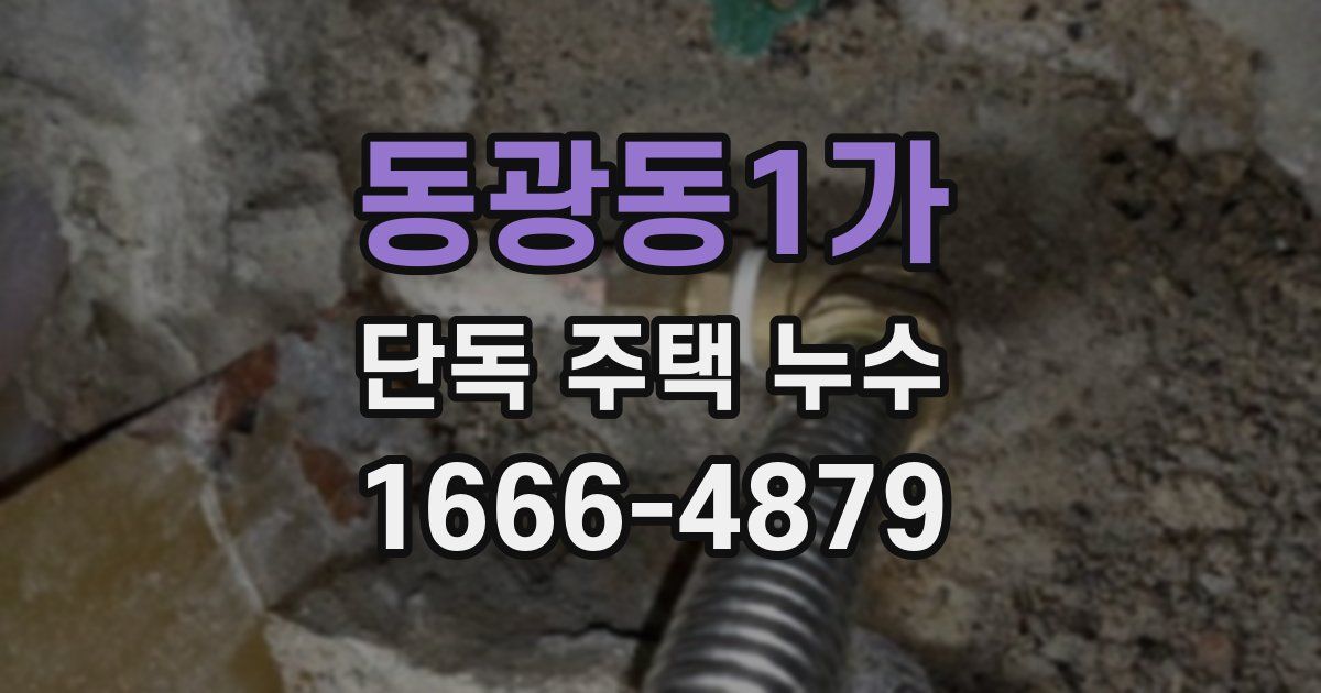 동광동1가 단독 주택 누수