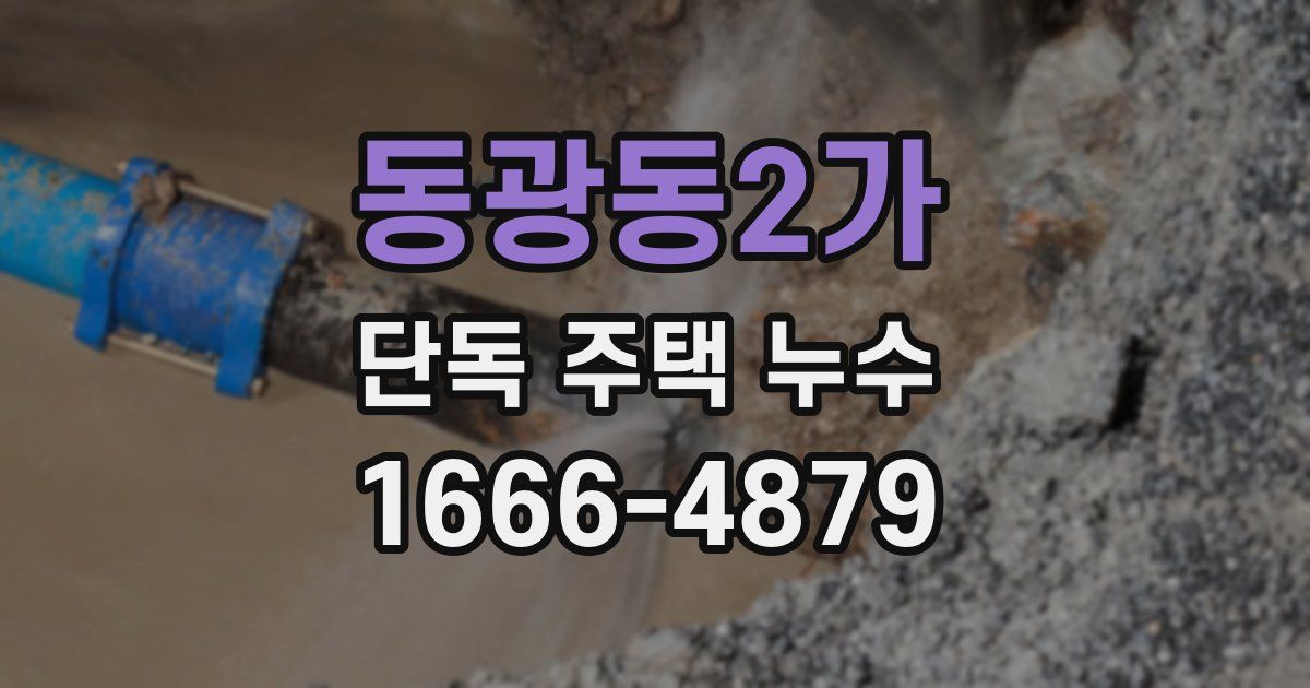동광동2가 단독 주택 누수