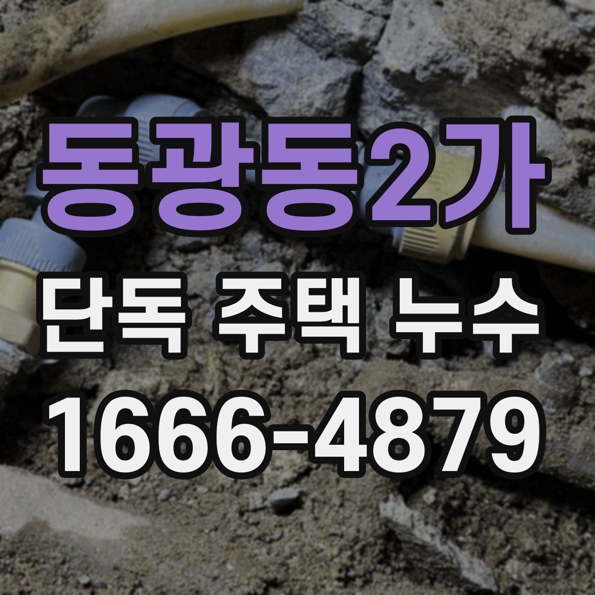 동광동2가 단독 주택 누수