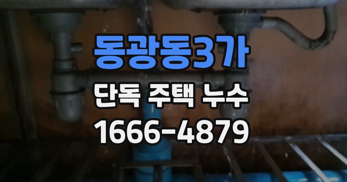 동광동3가 단독 주택 누수