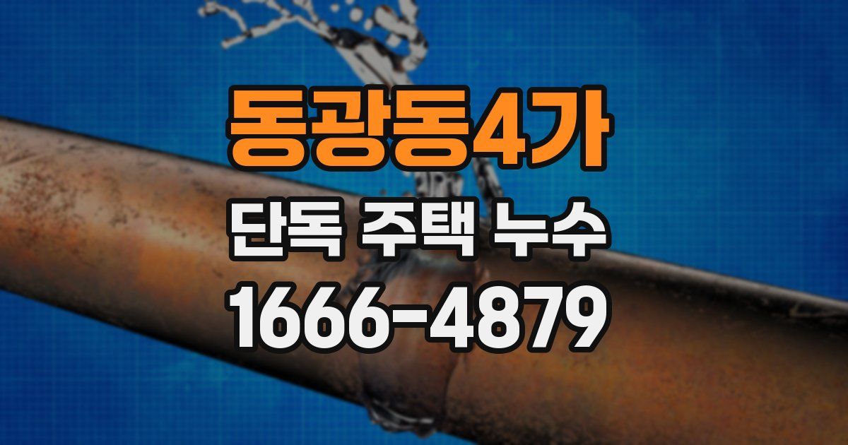 동광동4가 단독 주택 누수