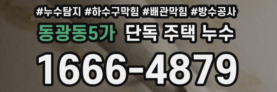 동광동5가 단독 주택 누수