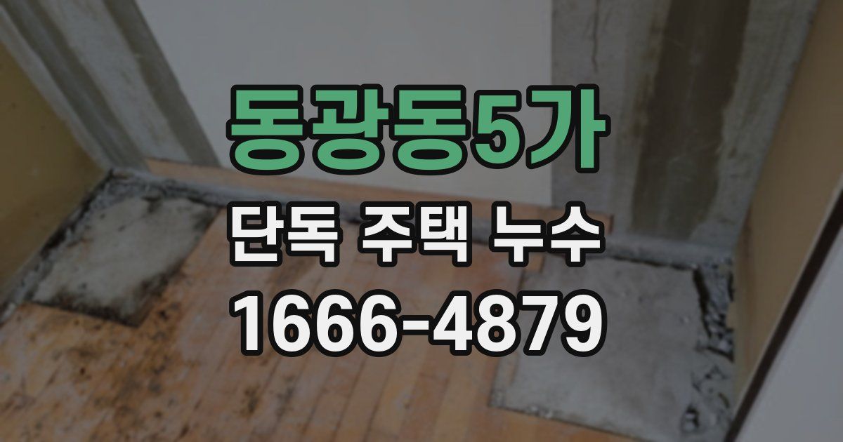 동광동5가 단독 주택 누수