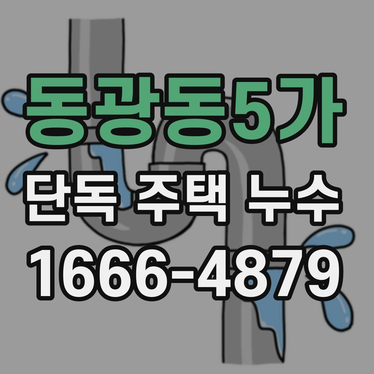 동광동5가 단독 주택 누수
