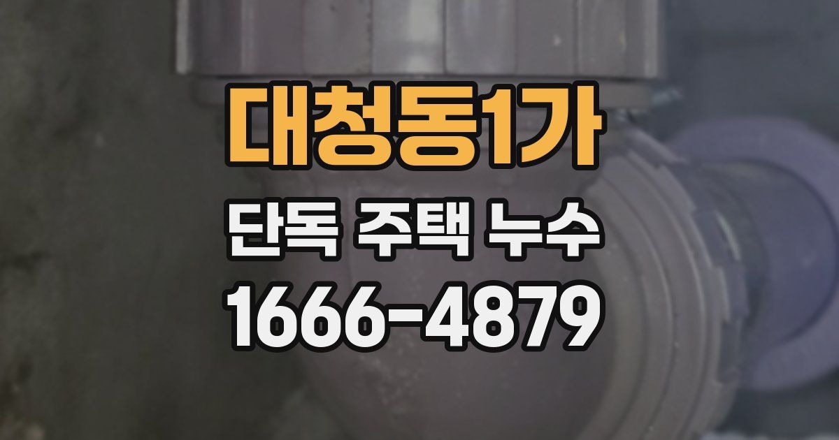 대청동1가 단독 주택 누수