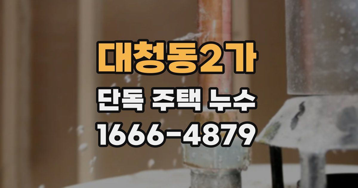 대청동2가 단독 주택 누수