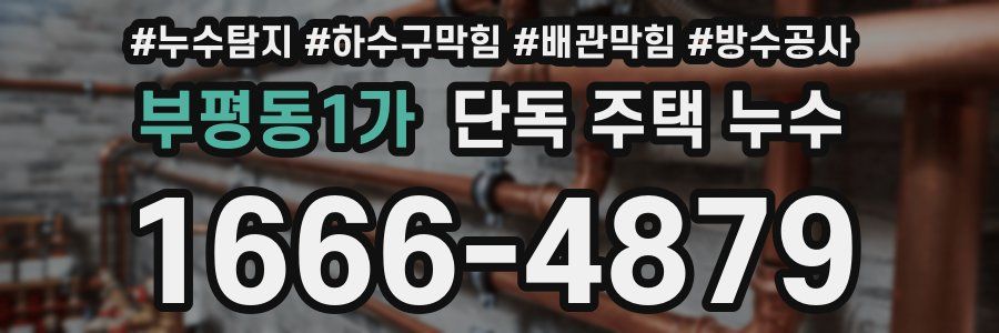 부평동1가 단독 주택 누수